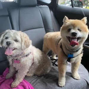 Meet your Posher, Barbara